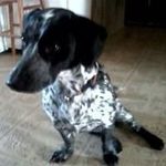 Tim Mathews - @tim.mathews.5201 - Instagram