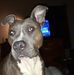 Tim Mauk - Facebook