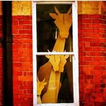 Tim McAuliffe - @urban_snapper78 - Instagram