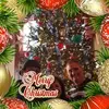 Tim McAuliffe - @tim.mcauliffe7 - TikTok
