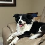 Tim McCarley - @mccarley.tim - Instagram