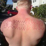 tim mccord - @creampuff619 - Instagram