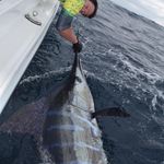 Tim McCracken - @tcrackers - Instagram