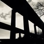 sight_lines - @timmcfarlanephoto - Instagram