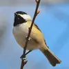 Tim McKnight - @tim.mcknight3 - TikTok