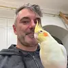Tim McLaughlin - @tim.mclaughlin0 - TikTok