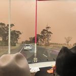 Tim Mcmanus - @tim.mcmanus.520 - Instagram