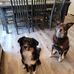 Tim McNaughton - Facebook