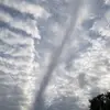 Tim McNeil - @tim.mcneil - TikTok