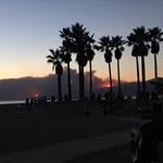 Tim McShane - @tim.mcshane - Instagram