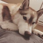 Tim Meissner - @plzandthx - Instagram