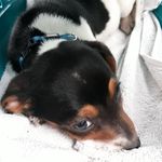 Tim Meißner - @meissner509 - Instagram