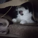 Tim Mendoza - @psychout69 - Instagram