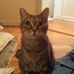 Tim Menefee - Facebook