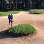 Tim Merritt - @tim.merritt.980 - Instagram