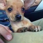 Tim Messer - @timmesser79 - Instagram