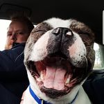 Tim Milligan - @timilligan - Instagram
