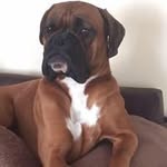 Tim Milner - @milner6974 - Instagram