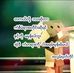 Tim Min - Facebook