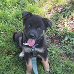 Mitchell Mortimer - @mitchamortimer - Instagram