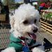 Timmie Mobbs - Facebook