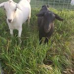 Tim Moen - @tim.moen.16 - Instagram
