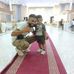 Tim Mohamed - Facebook