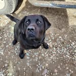 Tim Molenaar - @tmole.naar - Instagram