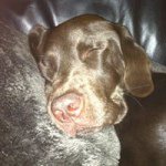 Tim Möller - @tim_moeller80 - Instagram