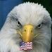 Timothy Molnar - Facebook