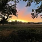 Tim Moloney - @timmoloney_ - Instagram