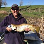 Tim Moloney - @tim_moloney46 - Instagram