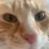 TIMMOMAN - @timmoman - TikTok