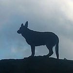 Tim Monaghan - @bigred1959 - Instagram