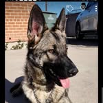 Tim Mong - @tim.mong.754 - Instagram