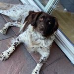 Tim Mönninghoff - @timmonninghoff - Instagram
