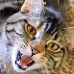 Tim Monson - @tim427428 - Instagram