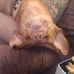 Tim Moorman - Facebook