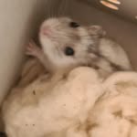 Tim_Moos - @tim_moos - Instagram