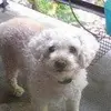 TIM Morales - @tim.morales30 - TikTok