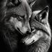 Morege Tim - Facebook
