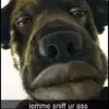 Tim Moroz995 - @fortnitecrackhead696969 - TikTok