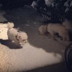 Tim Mortimer - @tj_mort1500 - Instagram