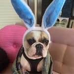 Tim Moser - @moser6800 - Instagram