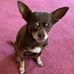 Tim Mulkern - Facebook