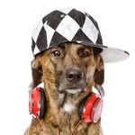 Tim music - @creizit1609 - Instagram