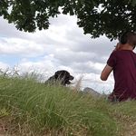 Tim Nagel - @genetikktim - Instagram