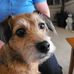 Tim Neu - Facebook