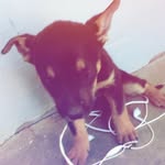 Tim Neufeld - @iblame.timothy - Instagram