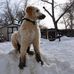 Tim Neufeld - Facebook